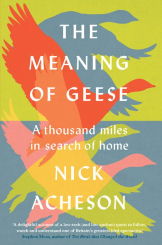 The Meaning of Geese (cover) The Meaning of Geese (cover)