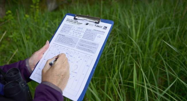 BBS form, David Tipling BBS form, David Tipling