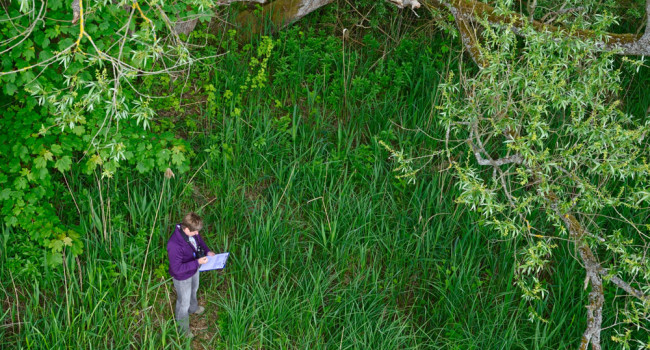 BBS Volunteer. David Tipling / BTO BBS Volunteer. David Tipling / BTO