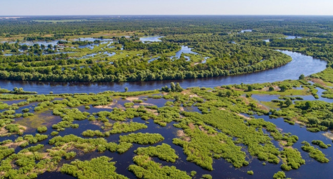 Pripyat river. © Daniel Rosengren / Frankfurt Zoological Society