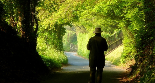 BTO Surveyor. Jill Tardivel