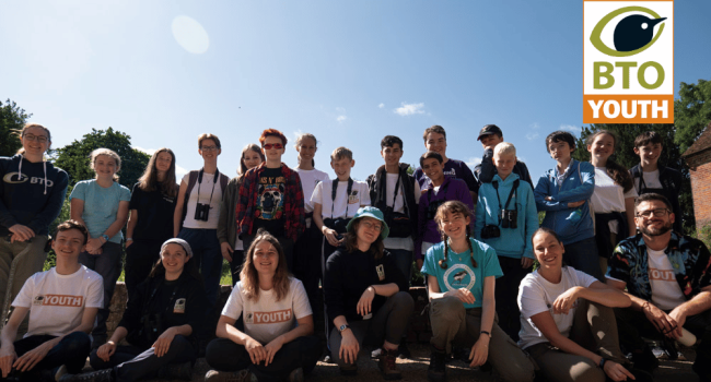 Bird Camp England 2023 by Alicia Hayden