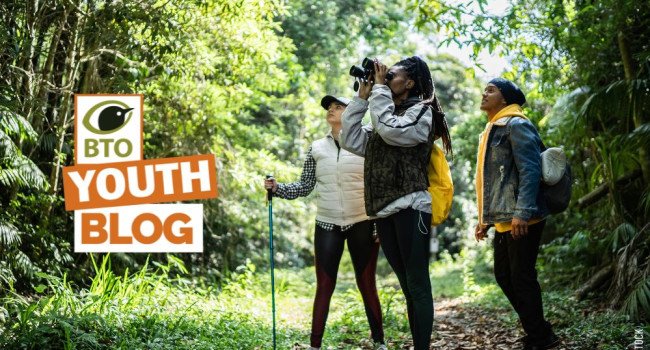 BTO Youth Engagement Strategy