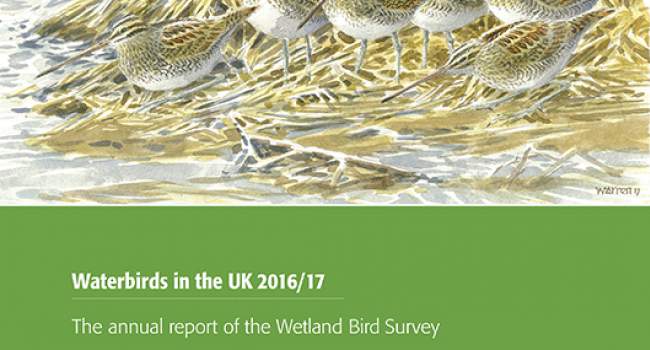 Cover of WeBS report Cover of WeBS report