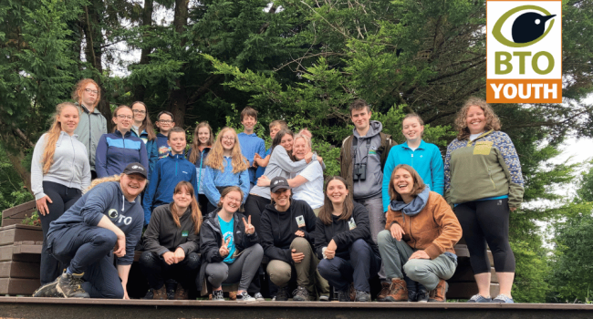 BTO Youth Bird Camp Northern Ireland