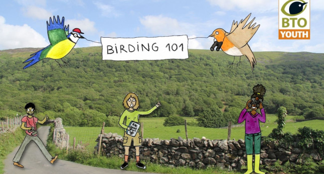 Birding 101 Birding 101