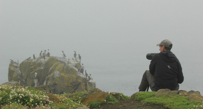 Seawatching on the Isle of May. Steve Willis Seawatching on the Isle of May. Steve Willis