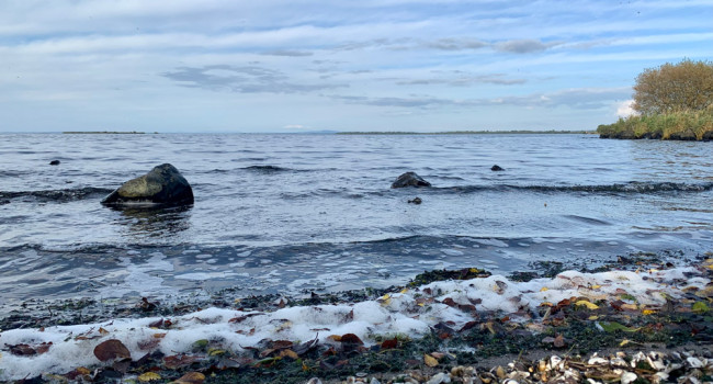 The southern shores of Lough Neagh, Oxford Island. Sorrel Lyall The southern shores of Lough Neagh, Oxford Island. Sorrel Lyall