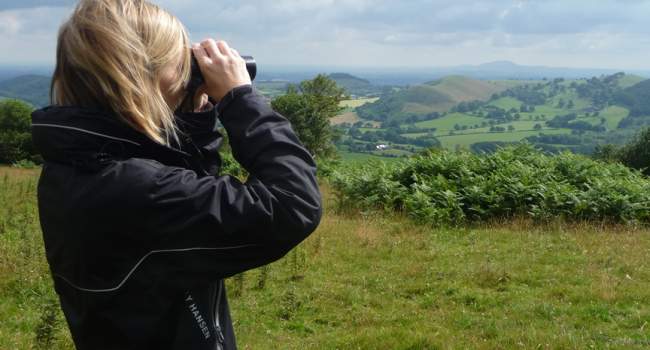 Volunteer fieldworker by Dawn Balmer Volunteer fieldworker by Dawn Balmer