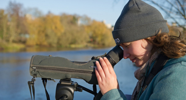 Bird surveyer. David Tipling