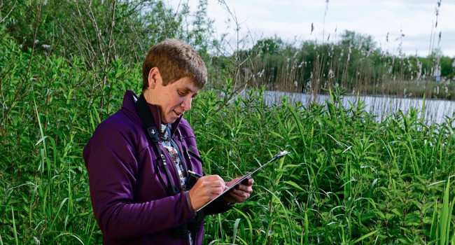 Bird survey volunteer, David Tipling Bird survey volunteer, David Tipling