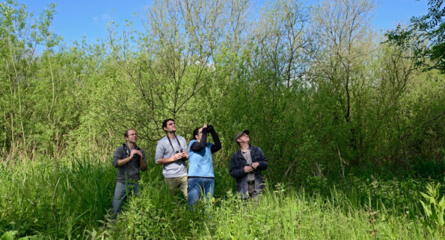 Bird survey volunteers, David Tipling