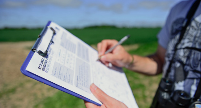 BBS volunteer, by David Tipling / BTO BBS volunteer, by David Tipling / BTO