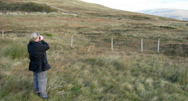 Birdwatching by Graeme Garner