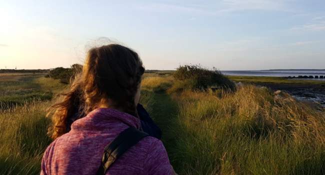 Whinchats at Kilnsea. Arjun Dutta Whinchats at Kilnsea. Arjun Dutta