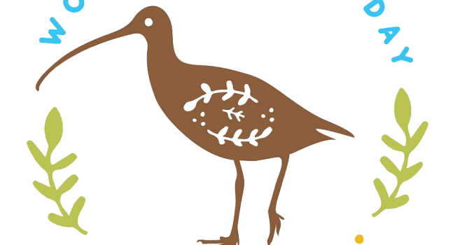World Curlew Day Logo
