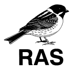 RAS Logo