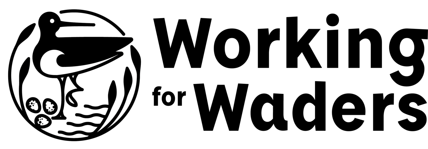 Visit the Working for Waders website Working for Waders logo